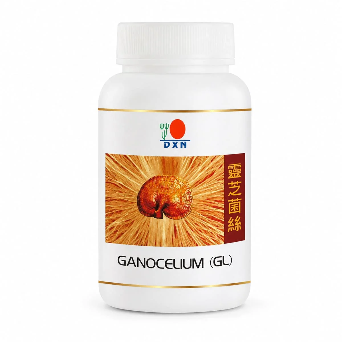 02-dxn-ganocelium-gl