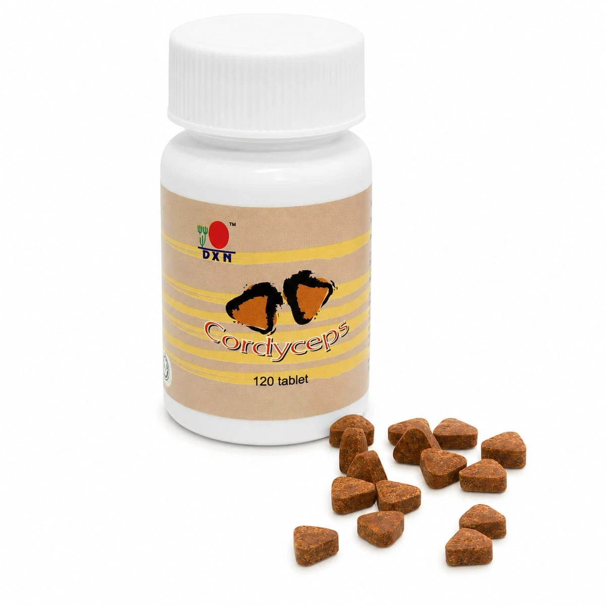 17-dxn-cordyceps-120